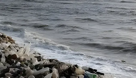 Mumbai Beaches Get New Focus On Waste
