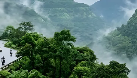Chennai Monsoon Travel Trends Reshape Holiday Choices