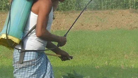 Now is an Opportune Time to Promote Alternate Fertilisers 