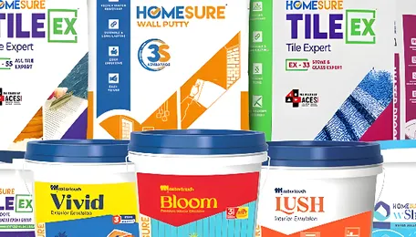Walplast Products Reports Strong Yearly Growth Across HomeSure Portfolio 