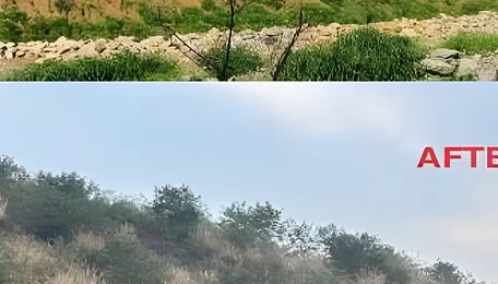 Telangana Transforms Coal Mines Overburden Into Thriving Green Ecosystems With Biodiversity Revival