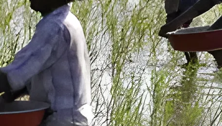 India fertiliser imports on track to hit all-time high of $18 billion this fiscal year