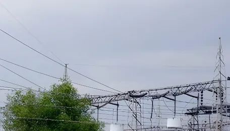 150 power poles damaged in Sunday hailstorm in Mohali district 
