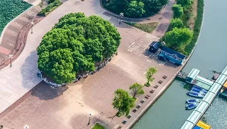 Chennai Water Management Model Boosts Urban Resilience