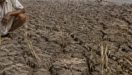 Karnataka Drought Relief: State Seeks ₹20,586 Crore from Centre