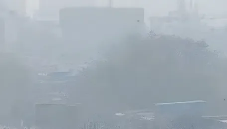 Mumbai Worli Records Highest AQI, BMC May Issue Construction Stop Notices