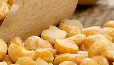 India’s pulses acreage almost at par with last year’s level