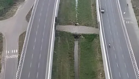 India’s Biggest Highway Push: 31 Bharatmala Projects Sanctioned in Bihar — But Delays Cloud Progress 