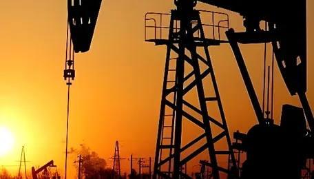 India Energy Shock: Cost of Insulating Consumers 