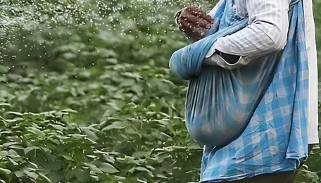 Union Cabinet gives nod to new urea policy, approves Rs 29,300 crore infrastructure push 