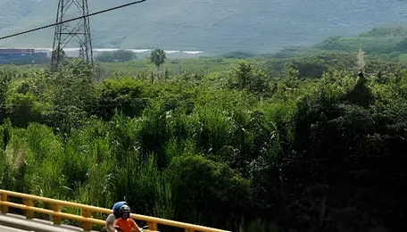 Road ministry develops portal for steel girders for better coordination between ministries 