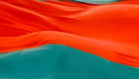 BNP Government of Bangladesh reviews 101 pacts signed with India