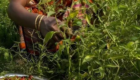 'Renewed US-Iran tensions to impact budgets of millions of Indians': Expert warns fertiliser price rise may... 