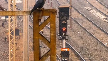 Indian Railways approves Rs 153-crore four-lane ROB at Geratpur-Ahmedabad section in Gujarat 