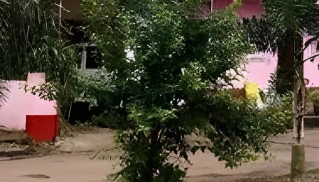 Maharashtra: Night-time tariff hike will cut savings of solar power users 