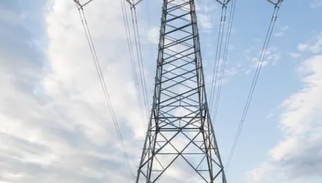 Assam Electricity Regulator Amends Rules For Appointing Electricity Ombudsman