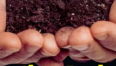 Regenerative Agriculture for a Resilient India, Practices, Benefits 