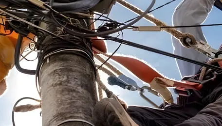 Govt stresses stronger safety culture in power sector on Lineman Diwas