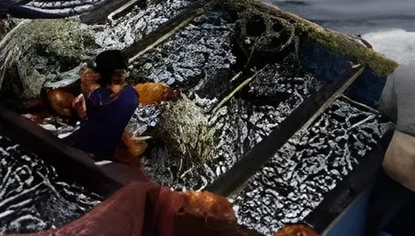 Fishermen are being pushed to the brink by fuel costs in Southeast Asia