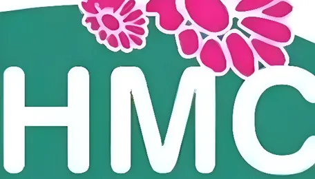 Hyderabad Ward Boundaries Trigger Civic Backlash