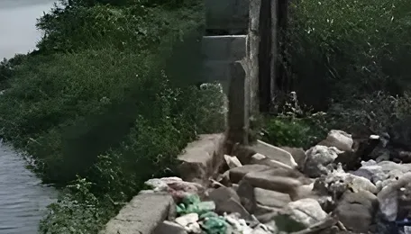 Kancheepuram Water Body Chokes Under Urban Waste