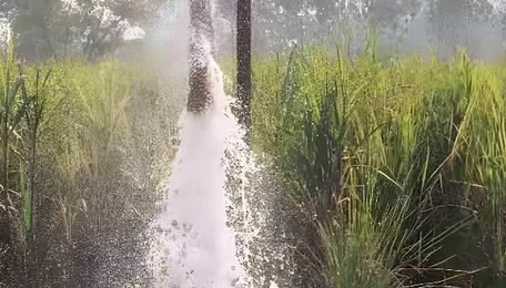 Delhi Treated Water Strategy Reduces Groundwater Use