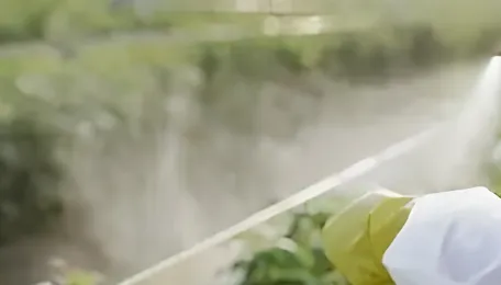 European Union still exporting banned pesticides despite health risks 