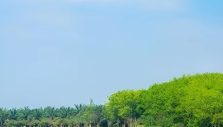 Damodar Valley Secures ₹1,014.585 Crore Loan from PFC to Expand Coal Mining and Boost Energy Security 