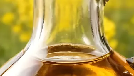 US Rapeseed Oil Export Prices Continue Downtrend in January 2026, likely to Extend Further