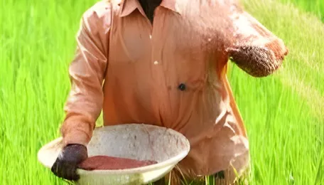 India moves to fortify fertilizer security, boost domestic production amid global supply risks
