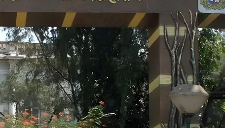 BMC Clears ₹61.77  Lakh Meat Supply Deal For Byculla Zoo