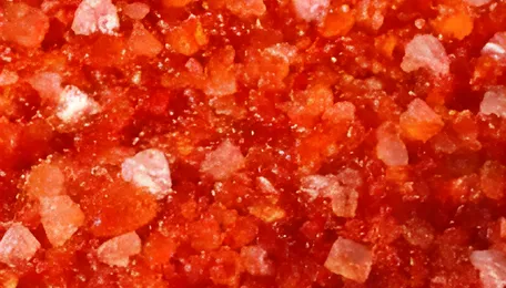 US Potassium Tetrachloroplatinate Market Remains Soft in January, Recovery Anticipated for Next Month