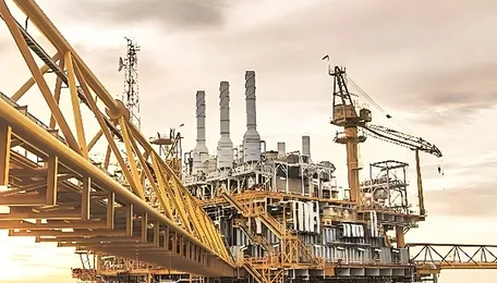 Chemicals and petrochemicals sector act as backbone of India's manufacturing ecosystem 