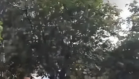 Chemical blast triggers fire at pharma unit in Sangareddy, no casualties 