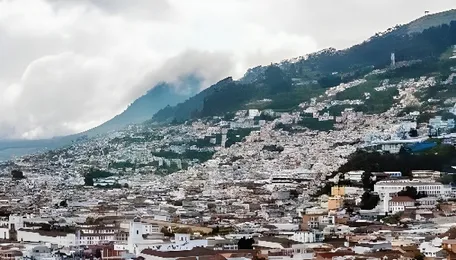 India Could Boost Crude and Critical Minerals Supply from Ecuador