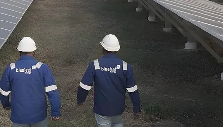 Blueleaf Energy Commissions 300 MWp Pachora Hybrid Power Project in Madhya Pradesh