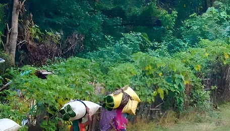 What’s Ailing India’s Green Credit Programme? 