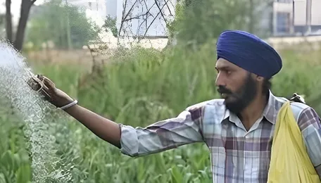 India's fertiliser output hits 5-year low amid input shortages 