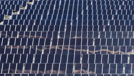 10 Downsides To Solar Farms Everyone Should Be Aware Of 