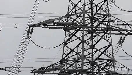 Wood Mackenzie Expects Imports to Supply 2% of Singapore's Power Mix by 2035 