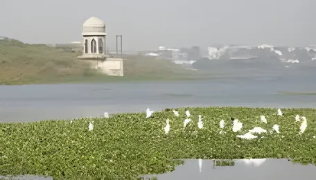Hyderabad Fox Sagar Survey Targets Lake Protection
