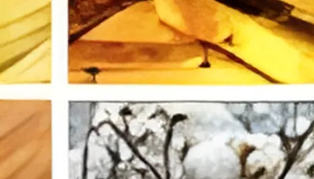 Every mineral is critical in the new metals age