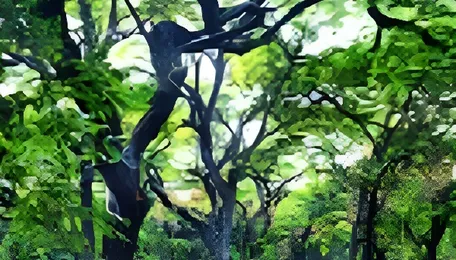 Delhi Launches Long Term Forest Restoration Strategy