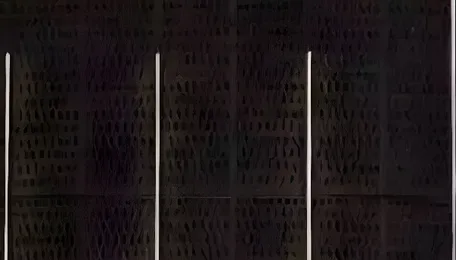 Adani Gas expands PNG network to 11 lakh homes 