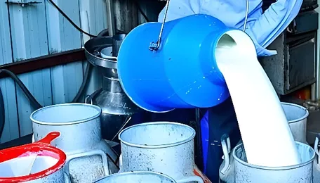 Bengaluru Consumers Face Higher Dairy Product Costs