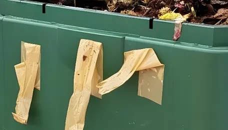 Bengaluru’s Waste Challenge Drives Local Composting Push