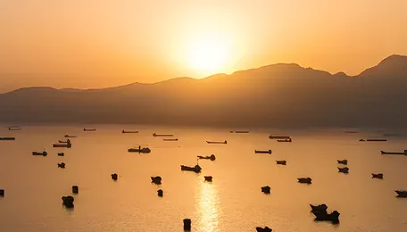 Global Trade Chokes over Hormuz Closure as US–Israel War on Iran Nears 100 Days 