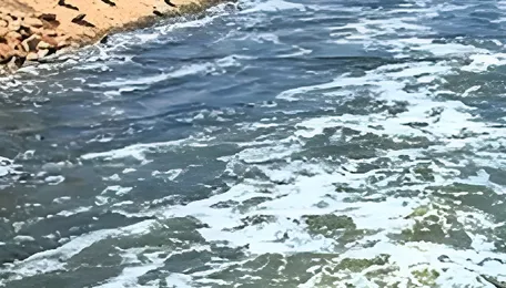 Mumbai Water Network Faces Fresh Efficiency Questions