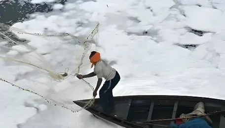 Rein in pollution by chemicals industry 