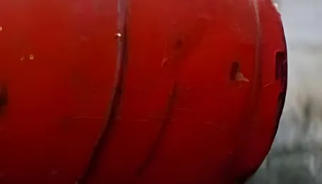 Government invokes emergency powers amid shortage of cooking gas due to Iran war; Oil companies ordered to in 